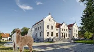 Palac Mortegi Hotel & SPA- Restauracja Szlachecka, SPA, Basen, Sauny, Jazda Konna, Mini Zoo- Luksus, Relaks i Przyroda w jednym! - Linowiec