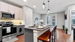 Cozy Lux 1 bd Apartment in Fort Worth, TX - Center Point