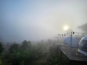 Homestay Vườn An Nhiên - Kiến Ðức