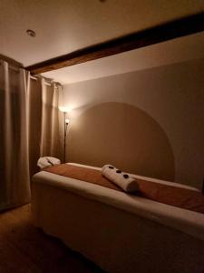 Appartements Suite cosy independante Evasion 2 proximite Colmar : photos des chambres