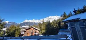 Schneealm by Alpenidyll Apartments - Ramsau