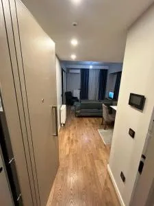 Toya next - 巴斯克希尔