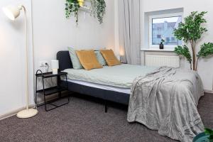 Urban Style Old Town