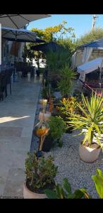 Maisons de vacances F1 Moderne avec Piscine privee et Vue sur le Garlaban : photos des chambres