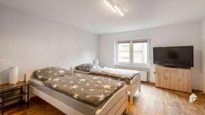 Große Ferienwohnung mitten in Bad Belzig