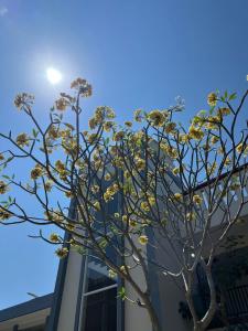 Hotel Century Pangandaran