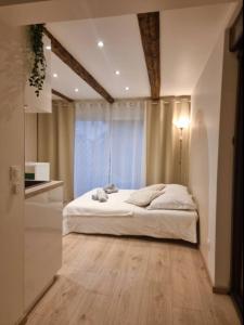 Appartements Suite cosy independante Evasion env Colmar : photos des chambres