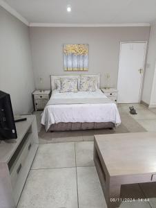 Studio S Class and Comfort