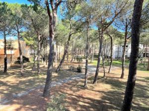 Appartement studio cabine - Argelès-sur-Mer AR530-027
