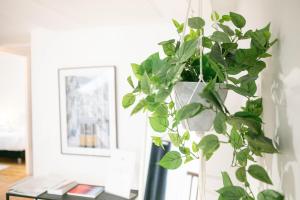 Appartements Le Magnolia - A 10 minutes de Disneyland : photos des chambres