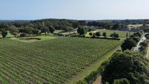 Maisons de vacances Le Ranch, charmante maison de style, proche de la mer et de Vannes dans le Golfe : photos des chambres