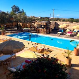 Labri côtier by Nath