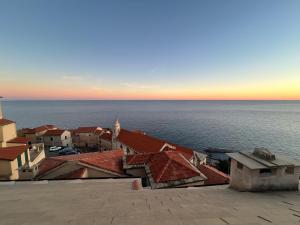 NAPOLEONE vintage house