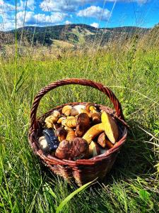 Apartmán Vista Rokytnice