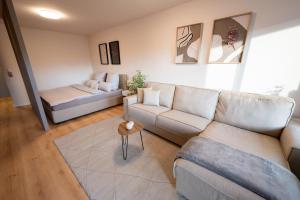 Central Apartment near Basel - Buisness&Holiday