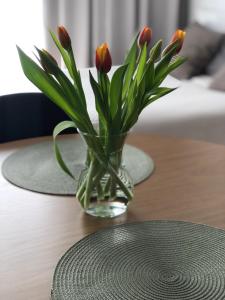 Metro Art Scandic Studio