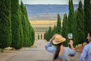 Hotel Pago De Cirsus