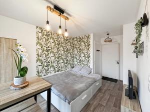 Appartements Charming Studio Disneyland Paris - Rentaway BnB : photos des chambres