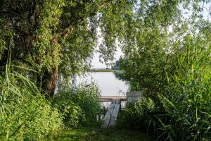 Ferienwohnung mit See und Alpenblick
