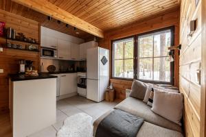 Holiday in Lapland - Levi Lomakuksa