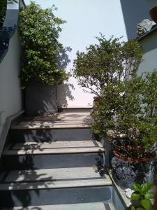 U Pizzico ( the pinch )