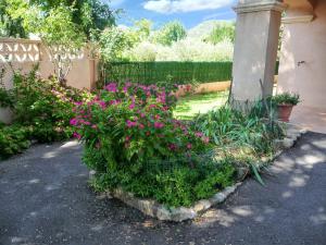 "Charmante maison à Vidauban avec jardin clos"