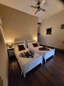 B&B / Chambres d'hotes Le Relais des Elephants Colores : photos des chambres