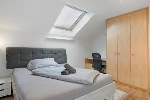 Ferienwohnung Rheintal Hard