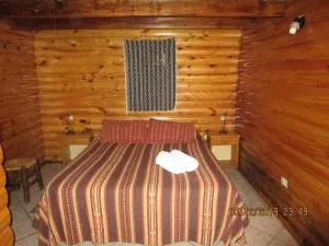 Cabaña con costa al Nahuel Huapi - Villa Traful