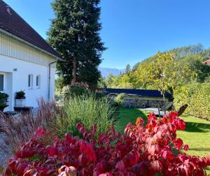 Ferienhaus EulenHorst