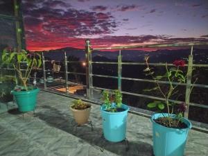 Dev Home Stay Almora