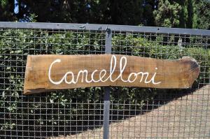 Agriturismo Morisfarms - Podere Cancelloni