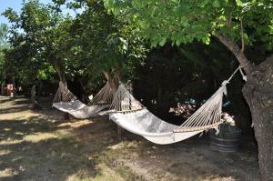 Agriturismo Morisfarms - Podere Cancelloni