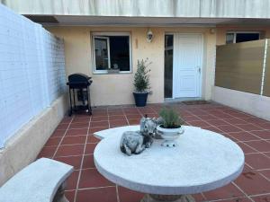 Appartements Studio evasion - SPA, Mer et Calanques : photos des chambres