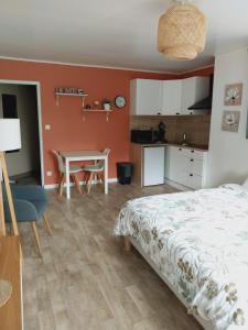 Appartements superbe grand studio tout confort avec exterieur : photos des chambres
