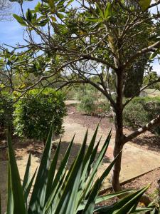 Appartements Appartement 5 pers a louer a Port-Fitou : photos des chambres