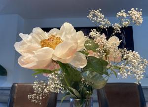 SLEEP INN Bed&Breakfast