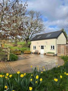 Characterful, Cosy Dartmoor Cottage - Ubytování bez kategorie ve městě Exeter
