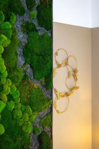 Appartements LE LUCIEN Eco-Appart'Hotel - Angouleme - Centre - Wifi - Parking prive - Classe 4 etoiles : photos des chambres
