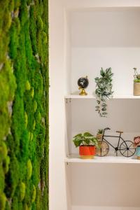 Appartements LE LUCIEN Eco-Appart'Hotel - Angouleme - Centre - Wifi - Parking prive - Classe 4 etoiles : photos des chambres