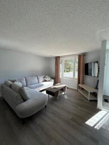 Cozy Barrie Home - Minutes to College & Hospital