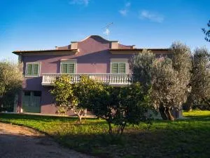 Tenuta Merlò - Сассетта