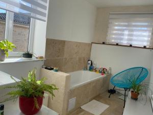 Appartements Ideal pour decouvrir nimes et le gard : photos des chambres
