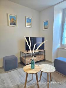 Maisons de vacances Le Relais 19 centre bourg T4 100m2 - 4min a Puy duFou : photos des chambres