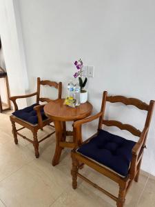 Palma Real vista al mar