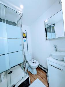 Sejours chez l'habitant Chambres Poitiers Centre Ville - Salle de Bain, Refrigerateur, TV et machine a cafe privatifs - Cuisine commune - Terrasse - Hotel de ville a 200m : photos des chambres