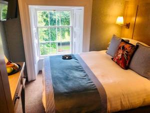 Small Double Room room in Avalon House Hotel