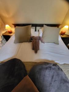 B&B / Chambres d'hotes Le Relais des Elephants Colores : photos des chambres