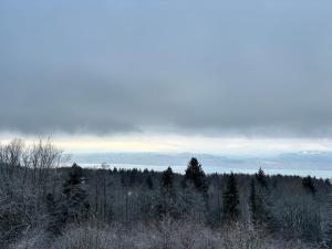 Le Panoramique I Vue lac - Montagne - Cosy
