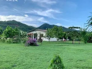 Mountain view - Cañas